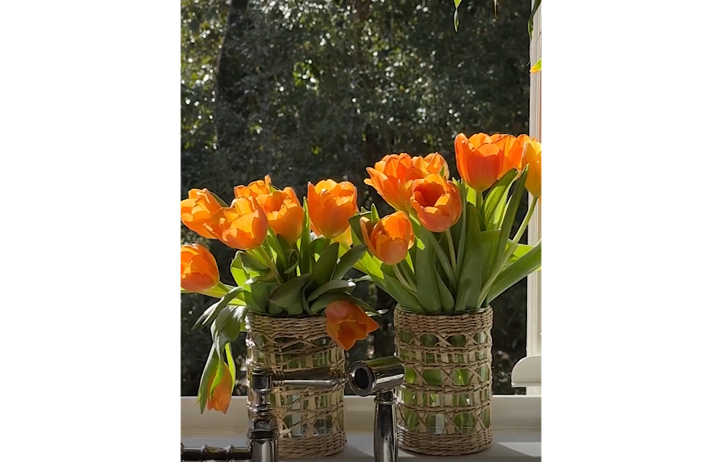 Tulip Hack
