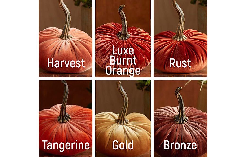 Velvet Pumpkins
